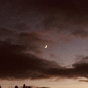 Meet your Posher, Addison